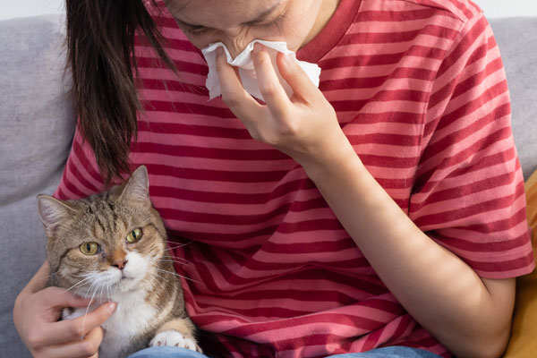 Cat owner with allergies